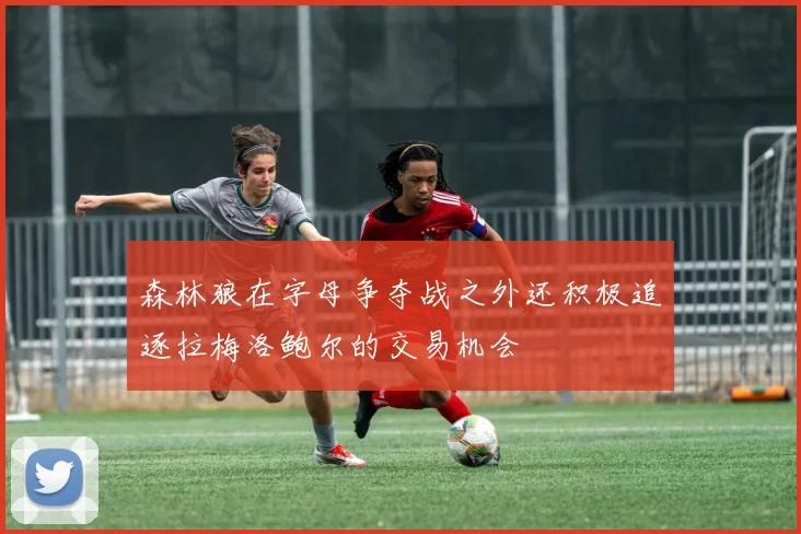 森林狼在字母争夺战之外还积极追逐拉梅洛鲍尔的交易机会