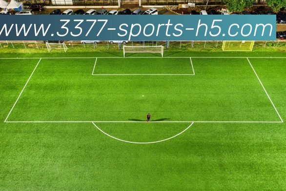 3377体育平台生态图