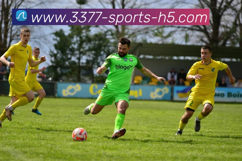 3377体育APP 封面图